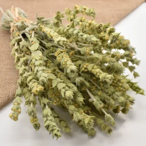Wild Mountain Herbal