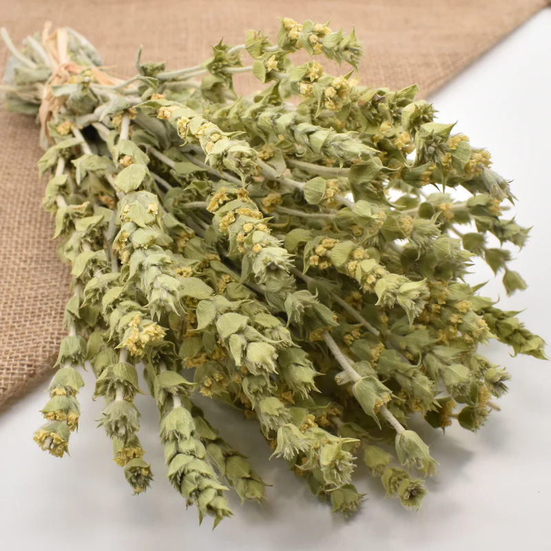Wild Mountain Herbal
