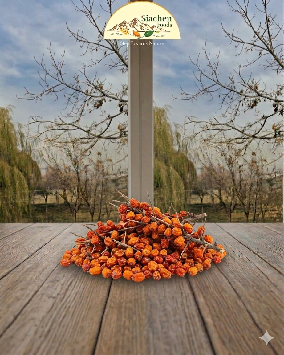 Sea Buckthorn Dried Berries